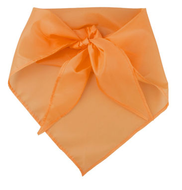 Платок-бандана Plus, цвет оранжевый - AP761999-03- Фото №1