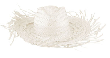 Шляпа соломенная  Filagarchado, цвет бежевый - AP761984-00- Фото №1