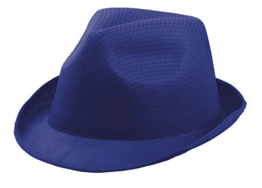 Шляпа Braz, цвет синий - AP791198-06- Фото №1