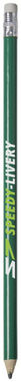 Олівець Alegra з кольоровим корпусом., колір зелений - 10709806- Фото №2