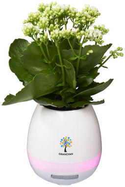 Динамік Greeen Thumb Flower Pot з Bluetooth, колір білий - 10833000- Фото №2
