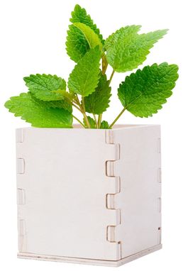 Горшок с травой мяты Merin, цвет натуральный - AP721179- Фото №1