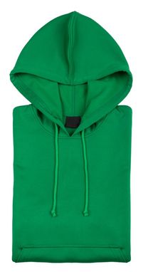 Толстовка з капюшоном Theon, колір зелений  розмір L - AP741684-07_L- Фото №1