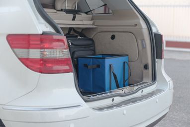 Органайзер для багажа автомобильный Nardelly, цвет синий - AP781737-06- Фото №4