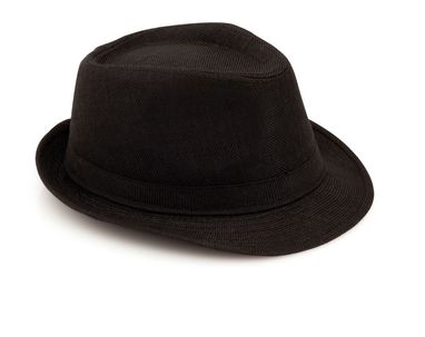 Шляпа Hat Get, цвет черный - AP791619-10- Фото №1