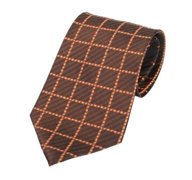 Краватка Tienamic, колір бронза - AP1121-43A- Фото №1