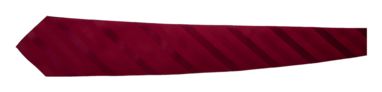Краватка Stripes, колір бордо - AP1233-08- Фото №2