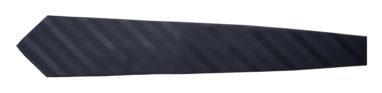 Краватка Stripes, колір темно-сірий - AP1233-80- Фото №2