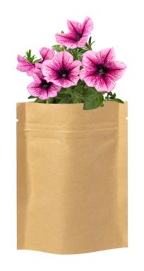 Набір насіння квітів Kit Sober, колір бежевий - AP721479-00- Фото №1