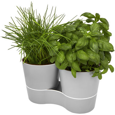 Вазон подвійний кухонний Herbs, колір сірий - 11315682- Фото №1