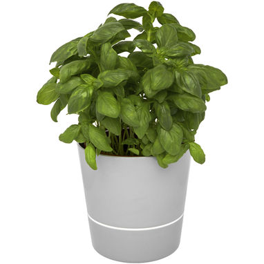 Вазон одинарный кухонный Herbs, цвет серый - 11317682- Фото №1