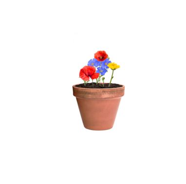 Капсула з насінням квітів, колір натуральний - AP722147- Фото №6