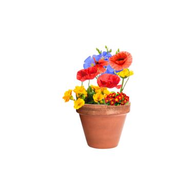 Капсула з насінням квітів, колір натуральний - AP722147- Фото №7