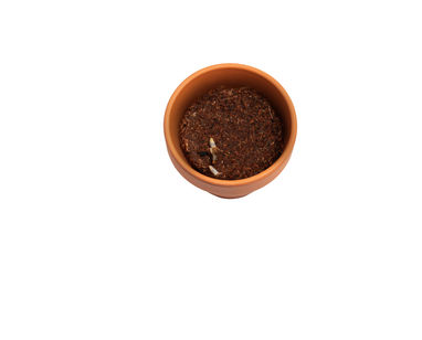 MENTHA. Горшок с семенами мяты, цвет натуральный - 96103-160- Фото №4