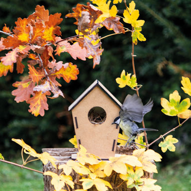 Птичий домик ECO HOME, цвет деревянный - 56-0601029- Фото №3