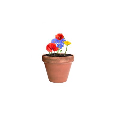 Кулька з насінням польових квітів Mussox, колір натуральний - AP722388- Фото №6