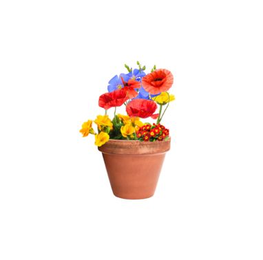 Кулька з насінням польових квітів Mussox, колір натуральний - AP722388- Фото №9