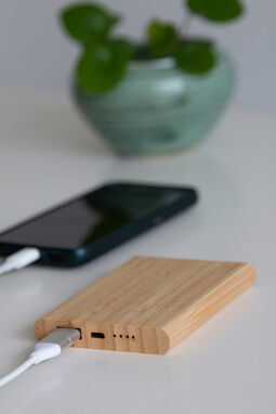 Powerbank BAMBOO EVOLUTION, колір коричневий - 56-1107382- Фото №9