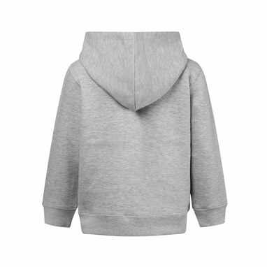 THC AMSTERDAM KIDS Детская толстовка матовый cветло-серый размер 10 - 30294-183-10- Фото №1 THC AMSTERDAM KIDS Детская толстовка матовый cветло-серый размер 10 - 30294-183-10- Фото №1
