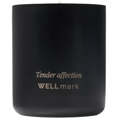 Ароматическая свеча Wellmark сплошной черный - 12640890- Фото №2