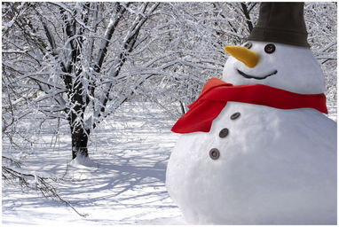 Набор для украшения снеговика, цвет многоцветный - 11249700- Фото №3