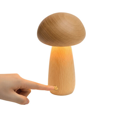Настольная светодиодная лампа MOSSLIGHT коричневый - 56-0903075- Фото №8 Настольная светодиодная лампа MOSSLIGHT коричневый - 56-0903075- Фото №8