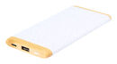 Power bank Coquin