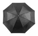 Парасолька Ziant
