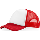 Кепка Trucker из 5-ти панелей