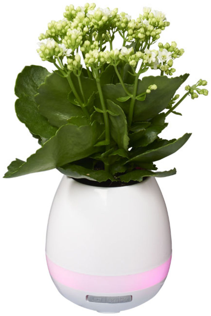 Динамік Greeen Thumb Flower Pot з Bluetooth, колір білий