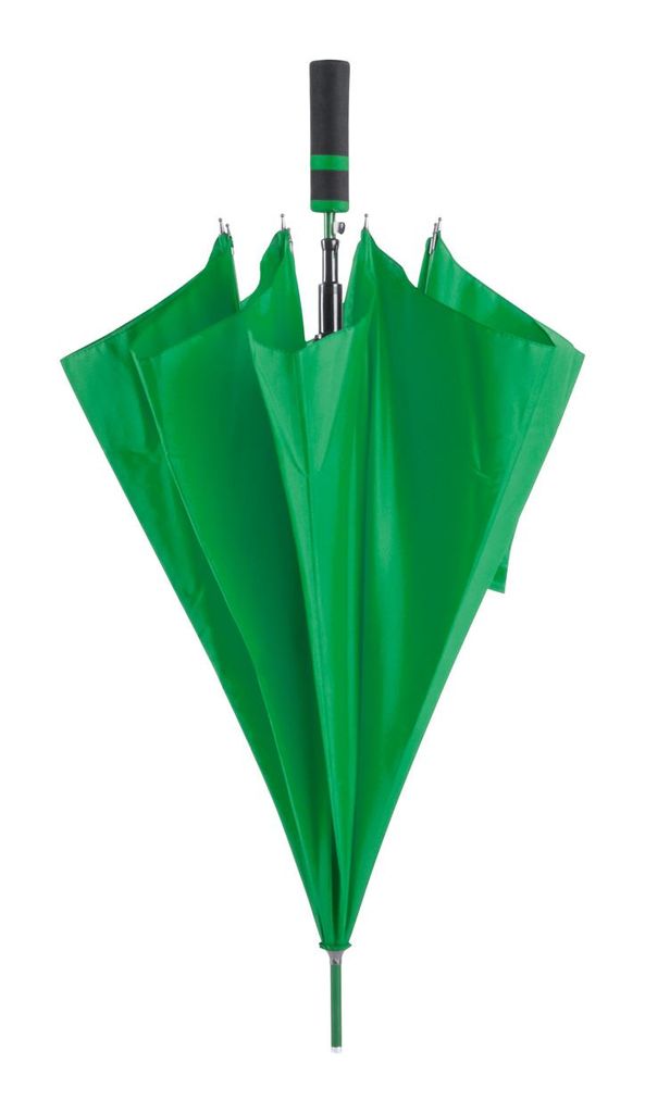 Парасолька Cladok, колір зелений