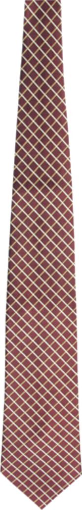 Краватка Tienamic, колір коричневий