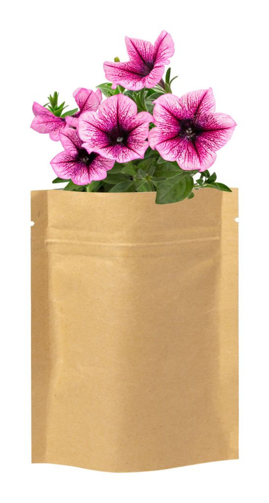 Набір насіння квітів Kit Sober, колір бежевий