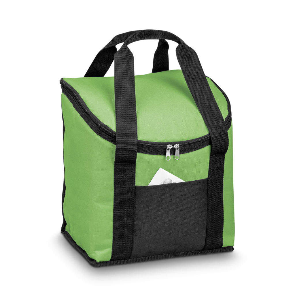 сумка, колір світло-зелений